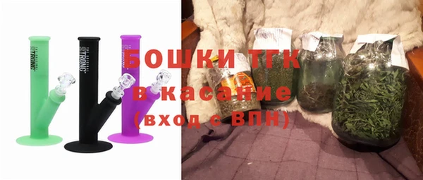 гидра Няндома