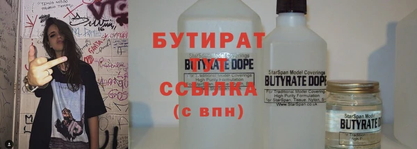 гидра Няндома
