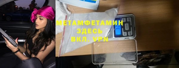 гидра Няндома