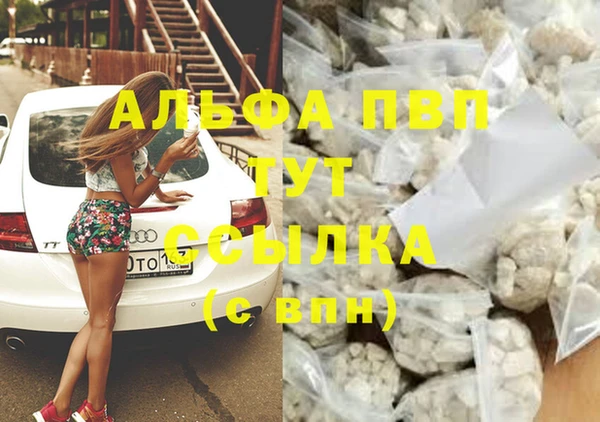 молекула духа Нягань