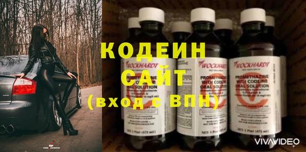 стаф Нея