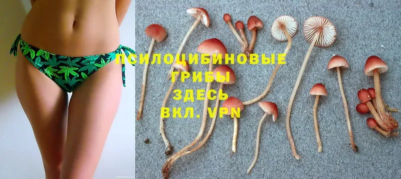 Галлюциногенные грибы Magic Shrooms  Канаш 