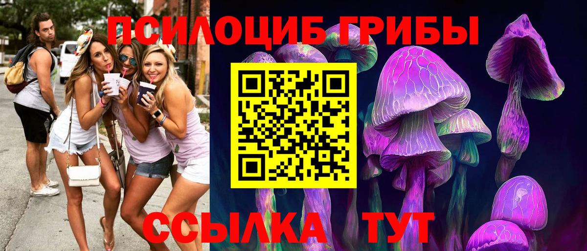Канаш  Галлюциногенные грибы MAGIC MUSHROOMS  Псилоцибиновые грибы Magic Shrooms  Вход с VPN 