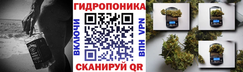 Конопля ГИДРОПОН купить наркотик Канаш