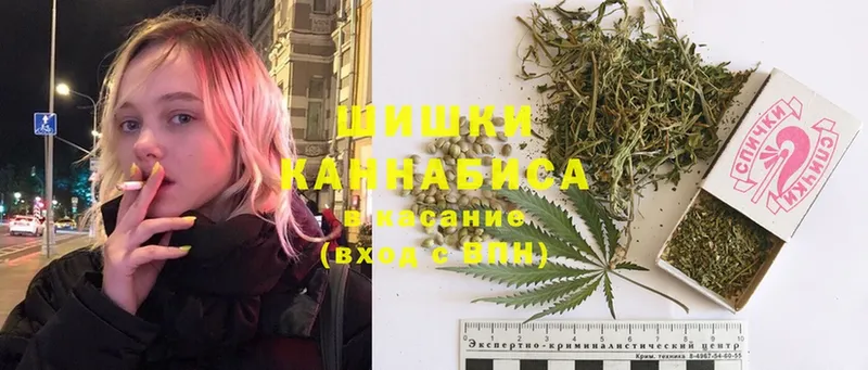 что такое   Канаш  Марихуана OG Kush 